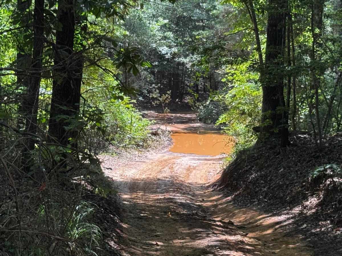 Omega trail photo
