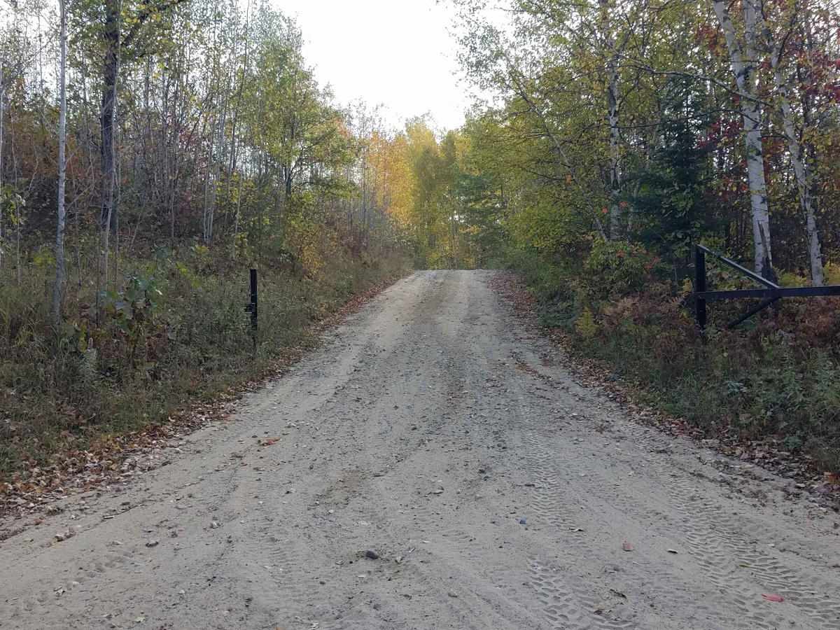 Inner Forest Road 4.6 photo 6