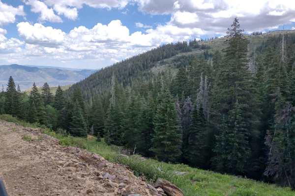 Revenue Gulch - Bullion/Wedge Road