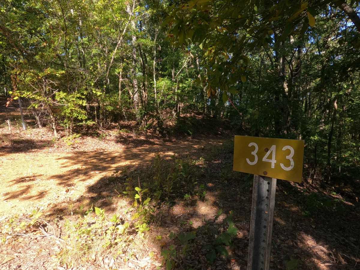 Mays Hollow Road - FS 343 photo 2