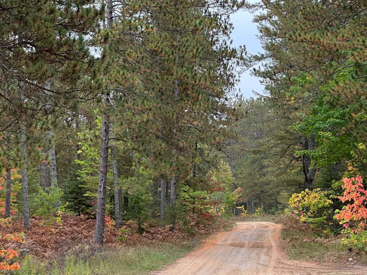 CR501 photo 2