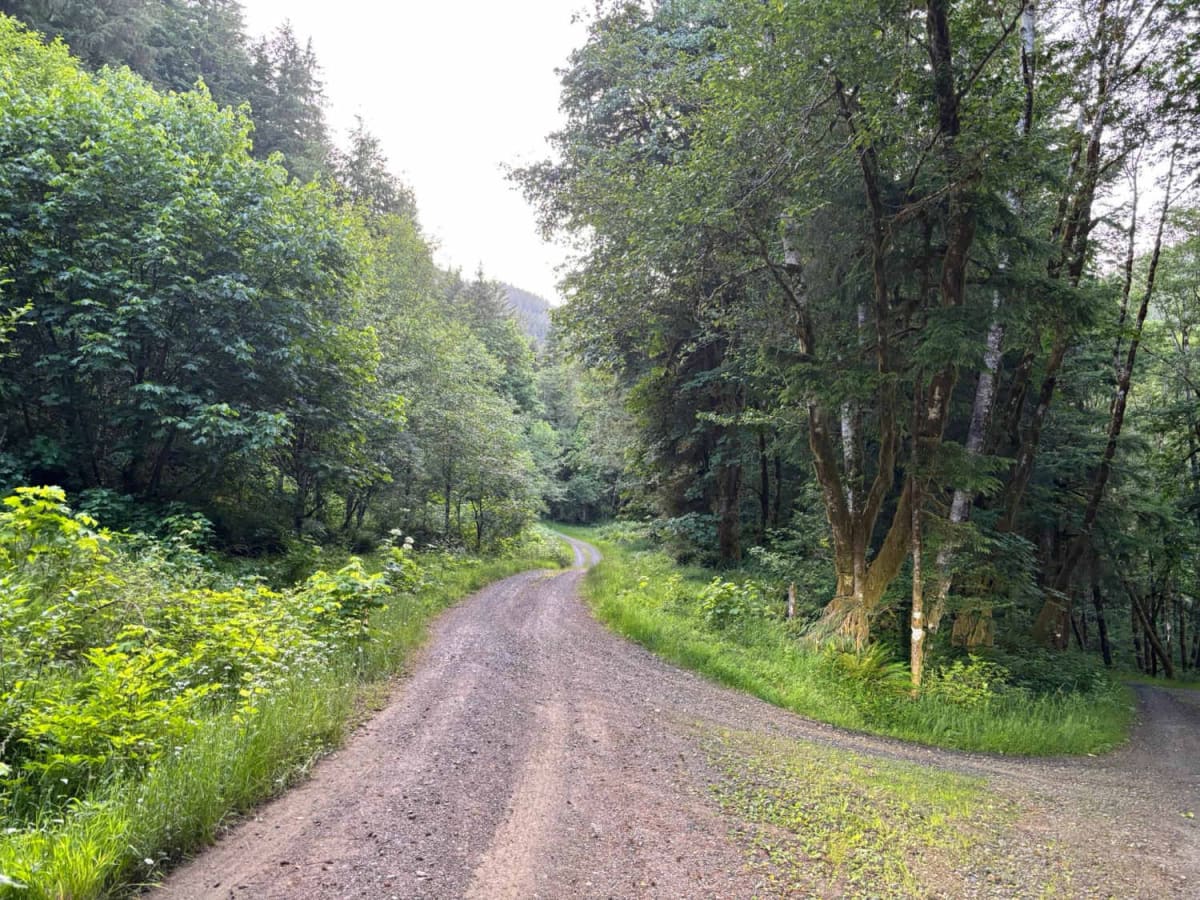 Shiffman Road photo 2