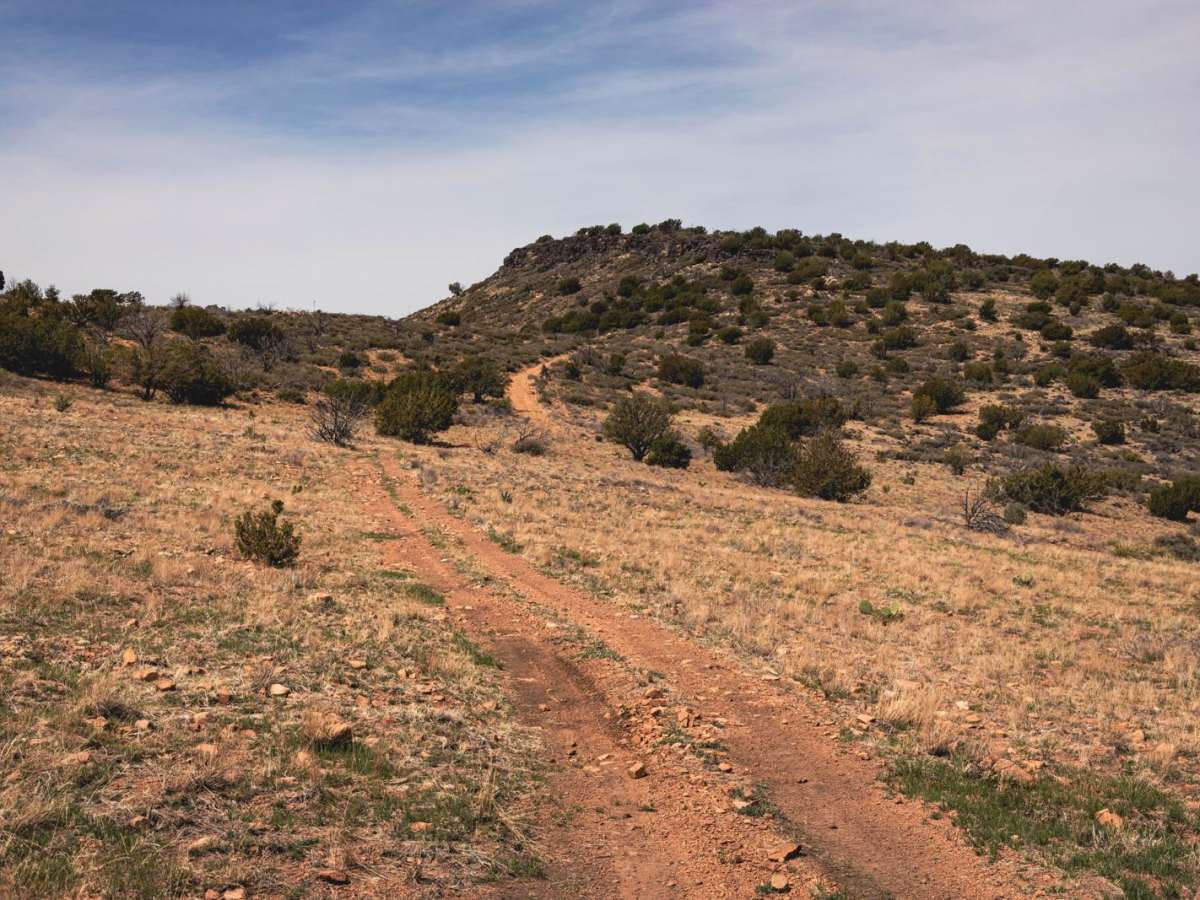 Long Gulch photo 3
