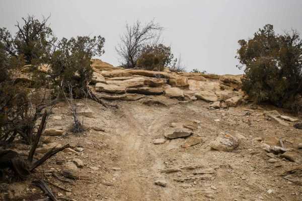 Arch Loop Trail