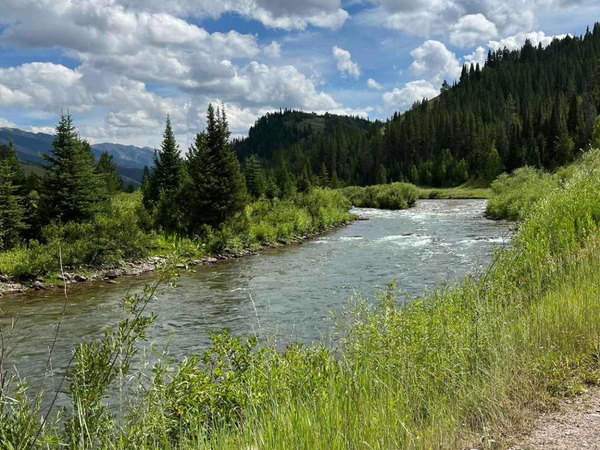 Lower Cabin Creek photo 5