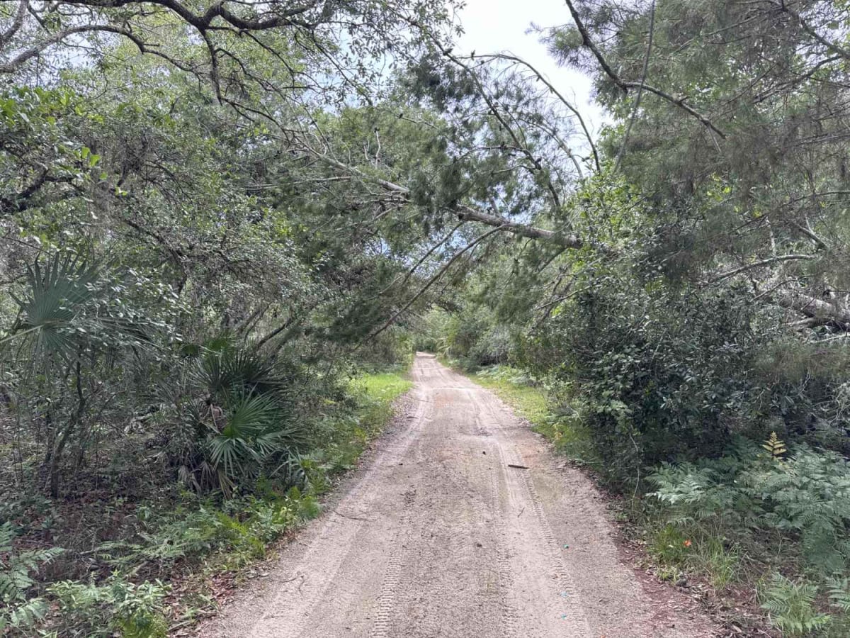 Sweet Springs - ONF 77 photo 6
