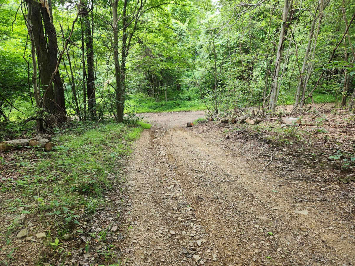 Trail 4C - Rock Run Recreation Area photo 6