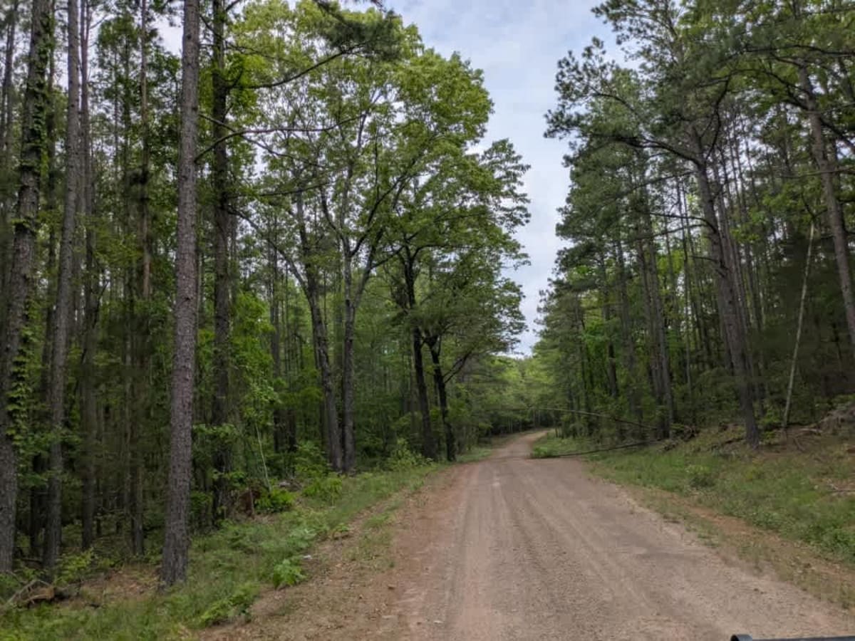 Carter Mountain photo 5