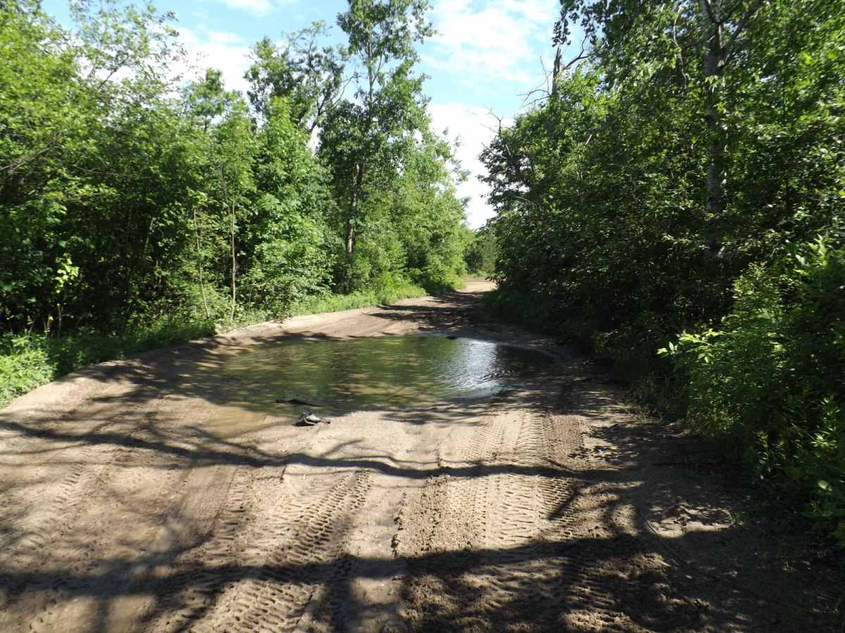 Floodwood Swamp Reservoir photo 4