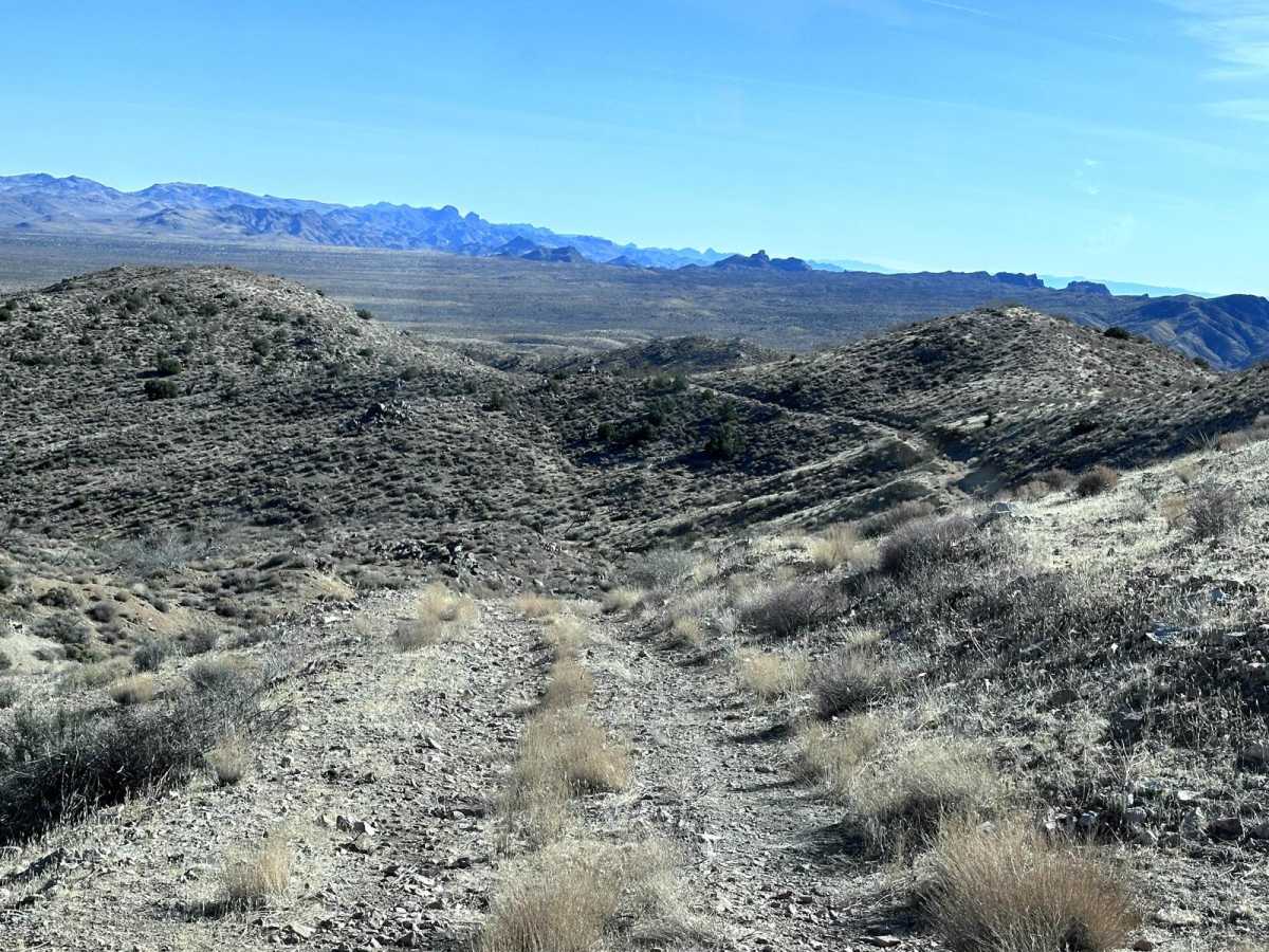 Coyote Spring photo 2