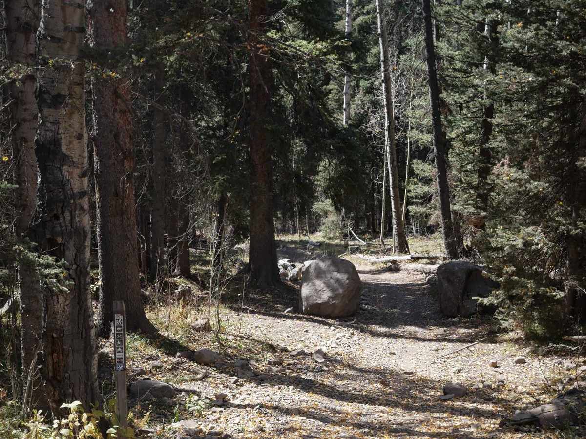 Old Owl Creek ATV photo 6