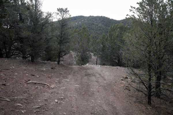 Bull Rush ATV Trail