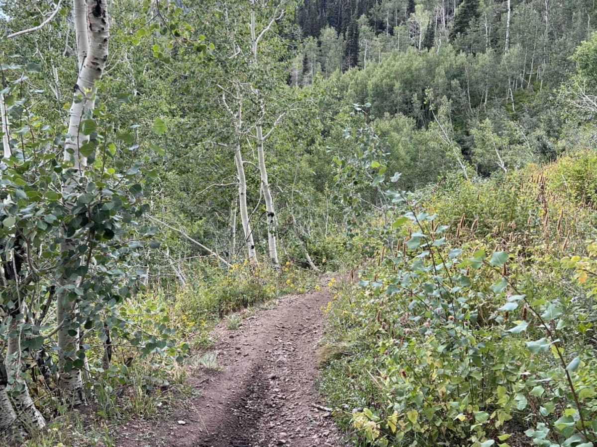 Pot Hollow (2037) trail photo