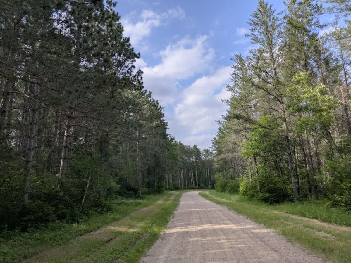 FS 3759 photo 6