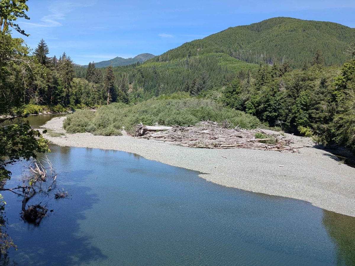 Cowichan Main photo 6
