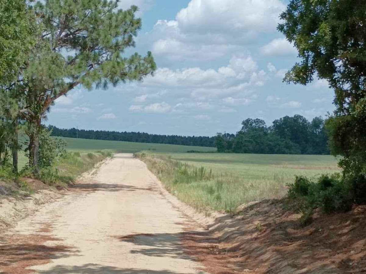 Henry Deese and Jimmy Knight Roads trail photo