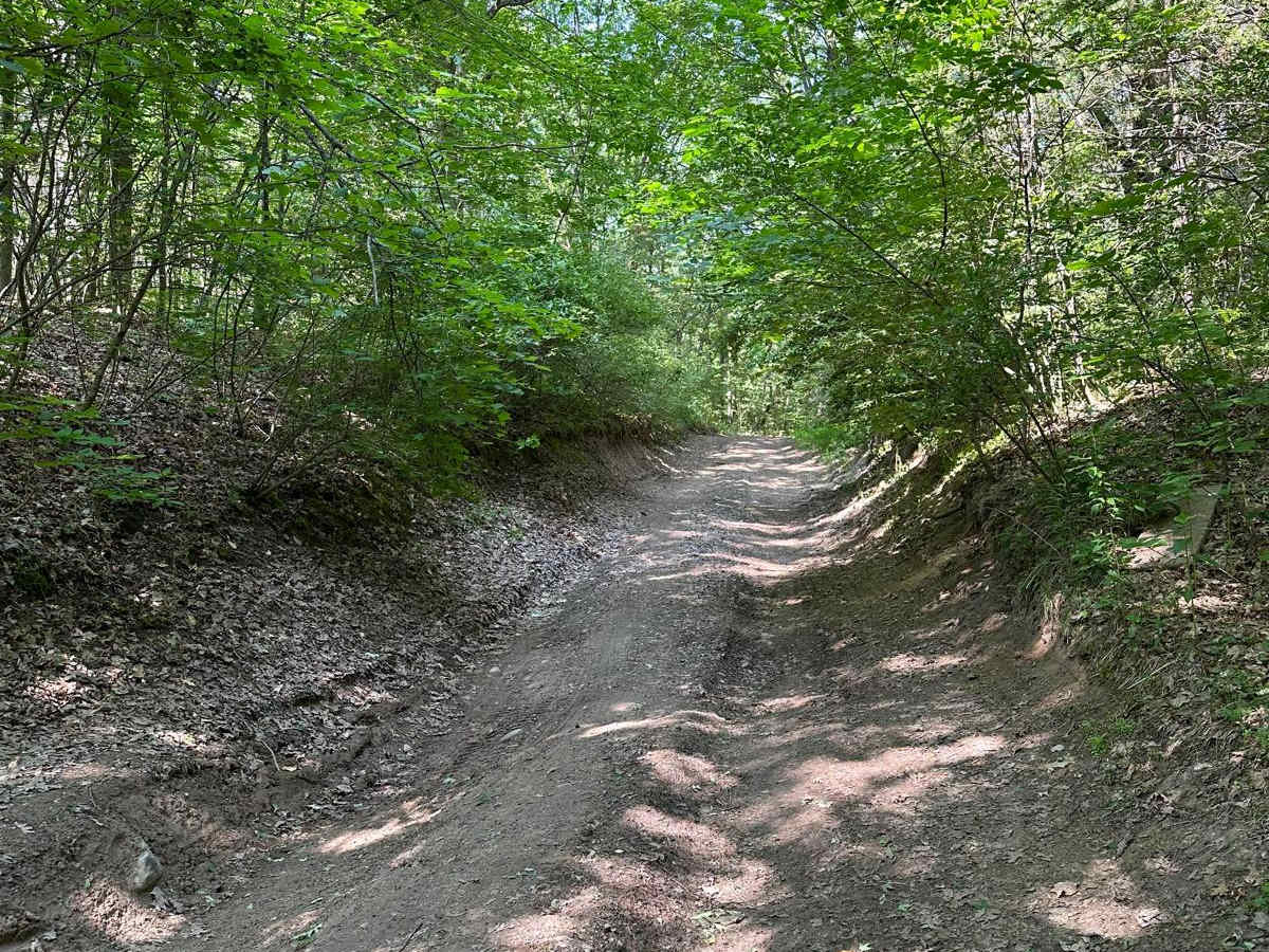 Trail 5461 photo 5