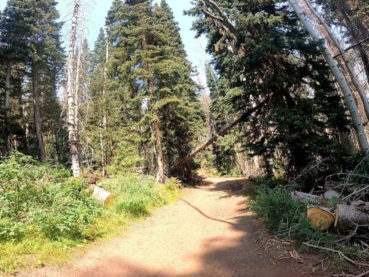 Race Track Reservoir trail photo