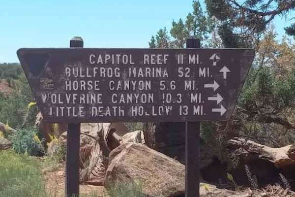 Wolverine Loop Road - 0640