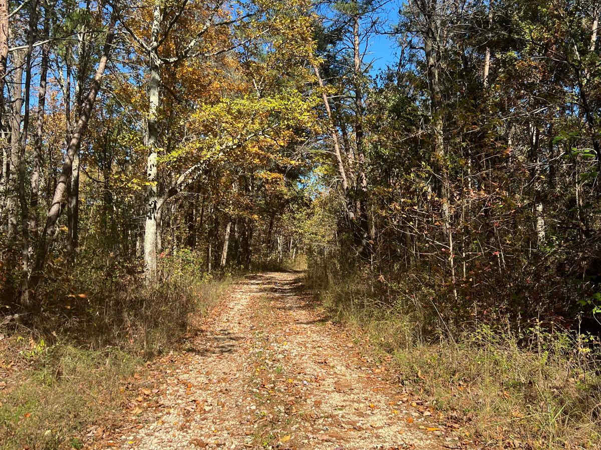 County Road 198 - FS272 photo 6