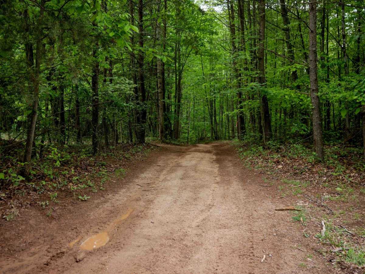 Trail 1 trail photo