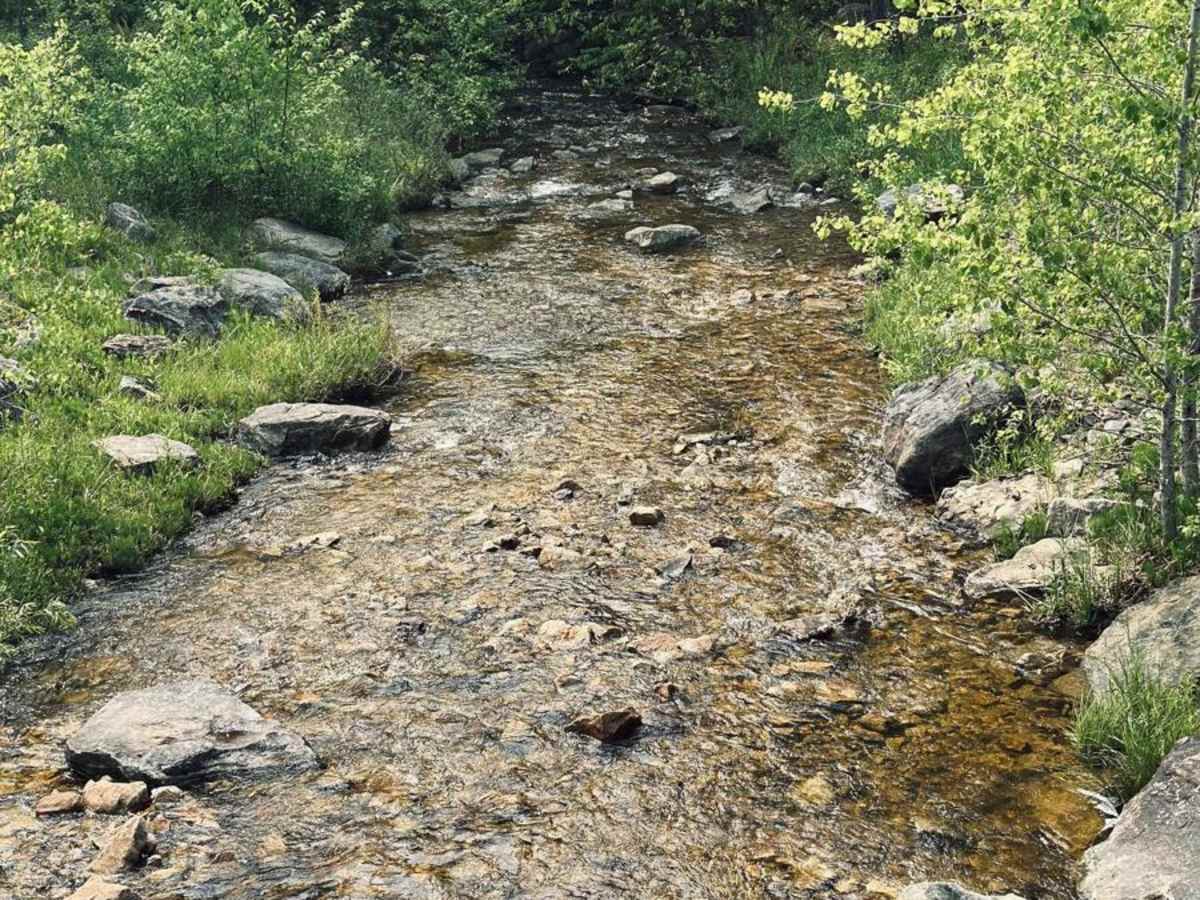 Clear Shade Road photo 5