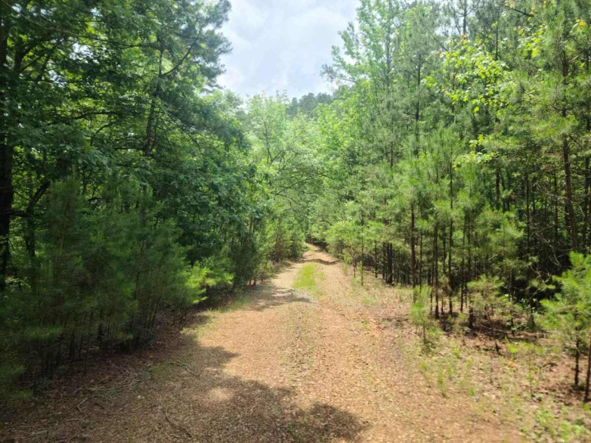 Carely Mountain Road - D66 photo 3