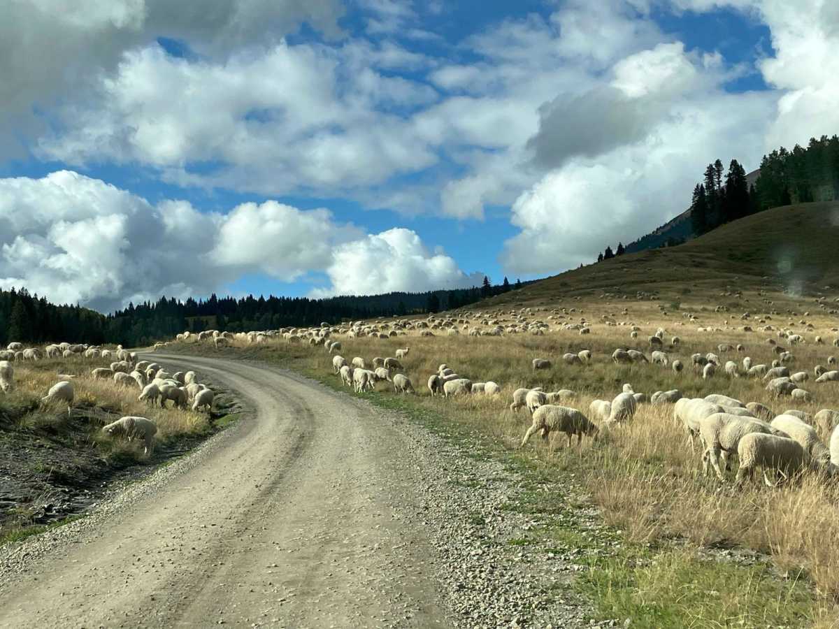 Fish Creek Approach photo 6
