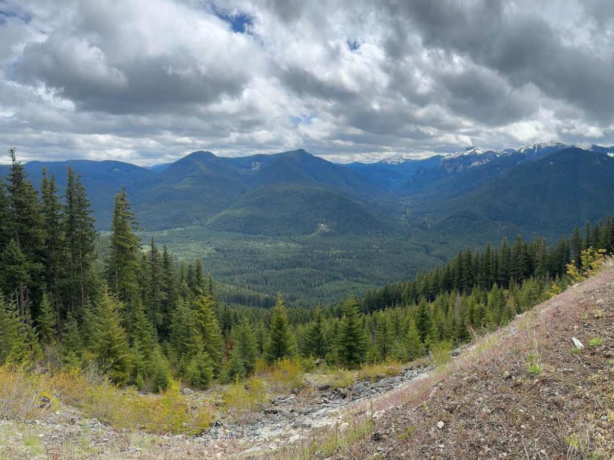 Doe Creek Forest Road trail photo