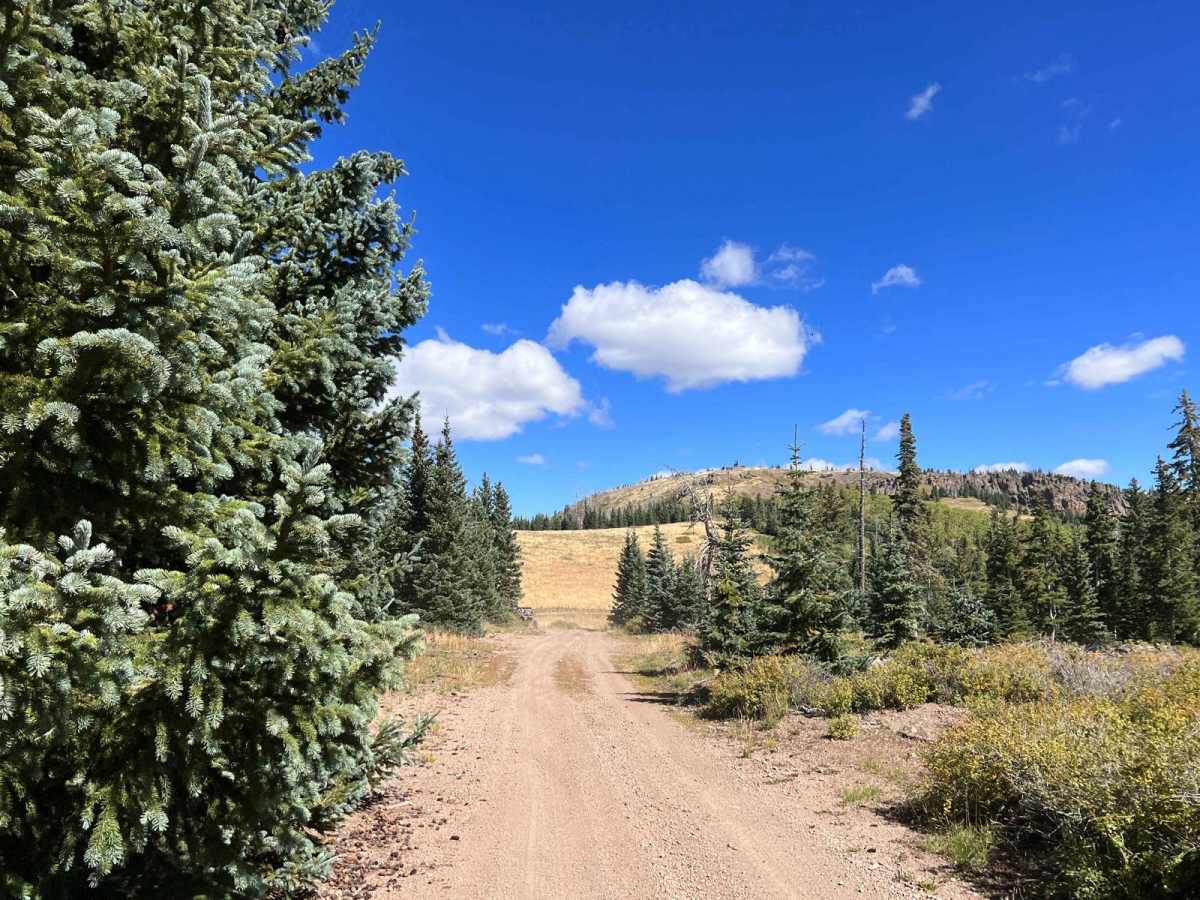 Mount Dutton - Cottonwood (30125/30353) photo 6