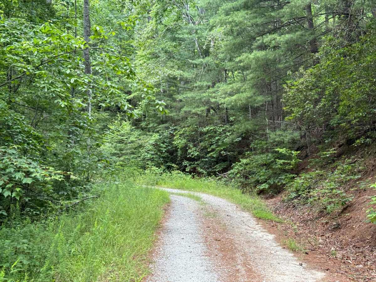 School House Ridge - FS 4068 photo 5