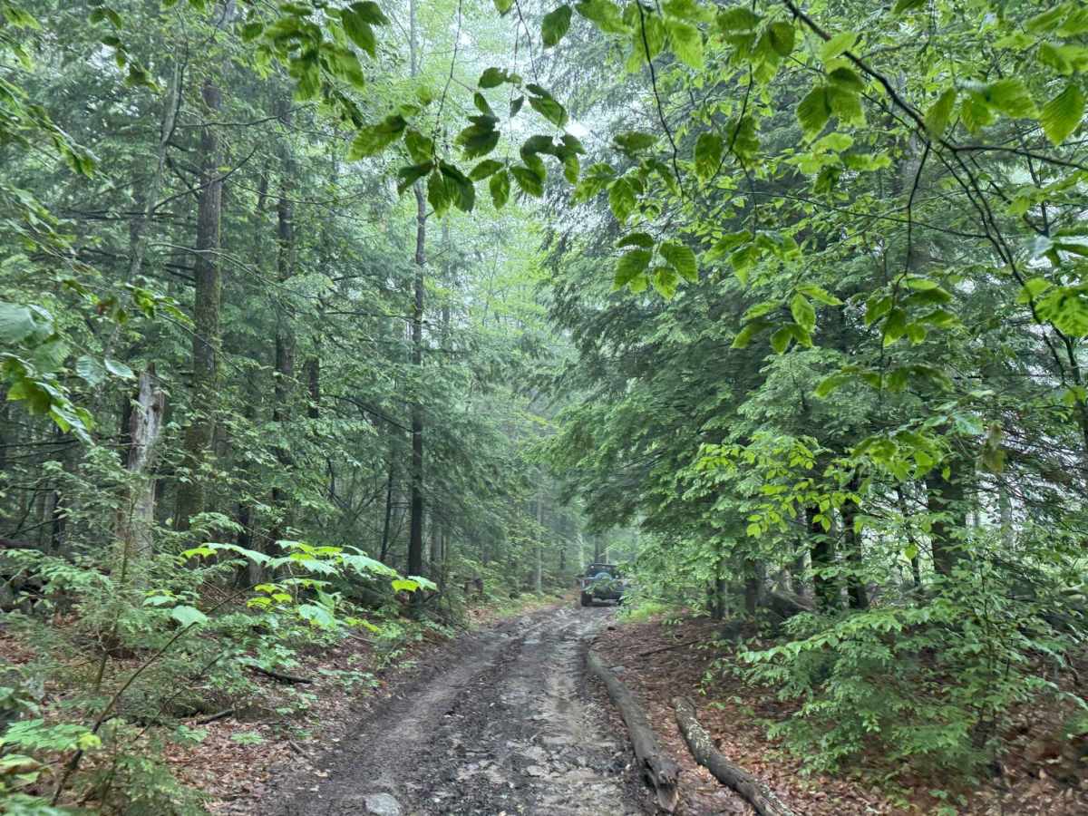 Brimstone Corner Road photo 4