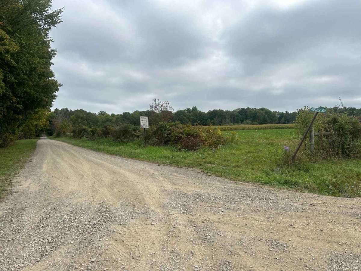 Pizura Road (Seasonal) trail photo
