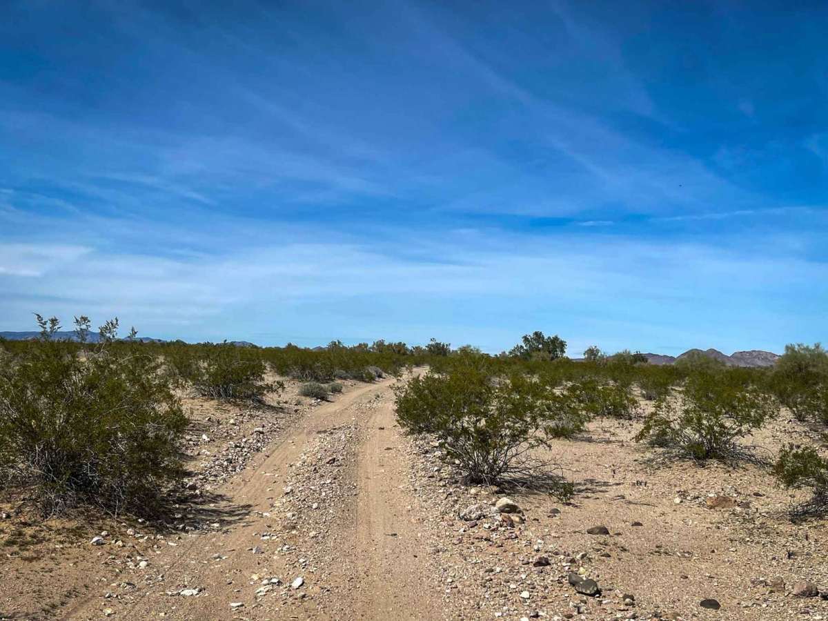 Turtleback Track photo 3