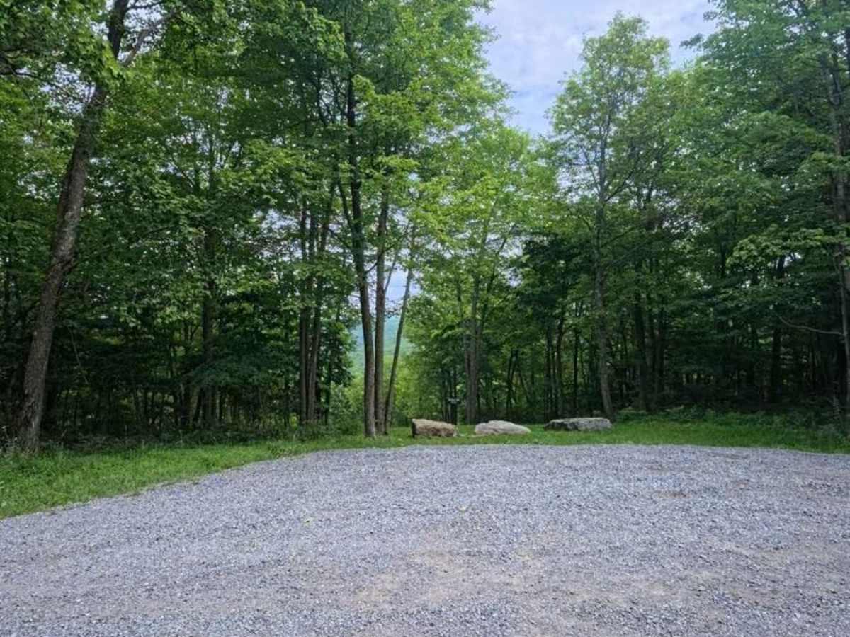 Huckleberry Road photo 5