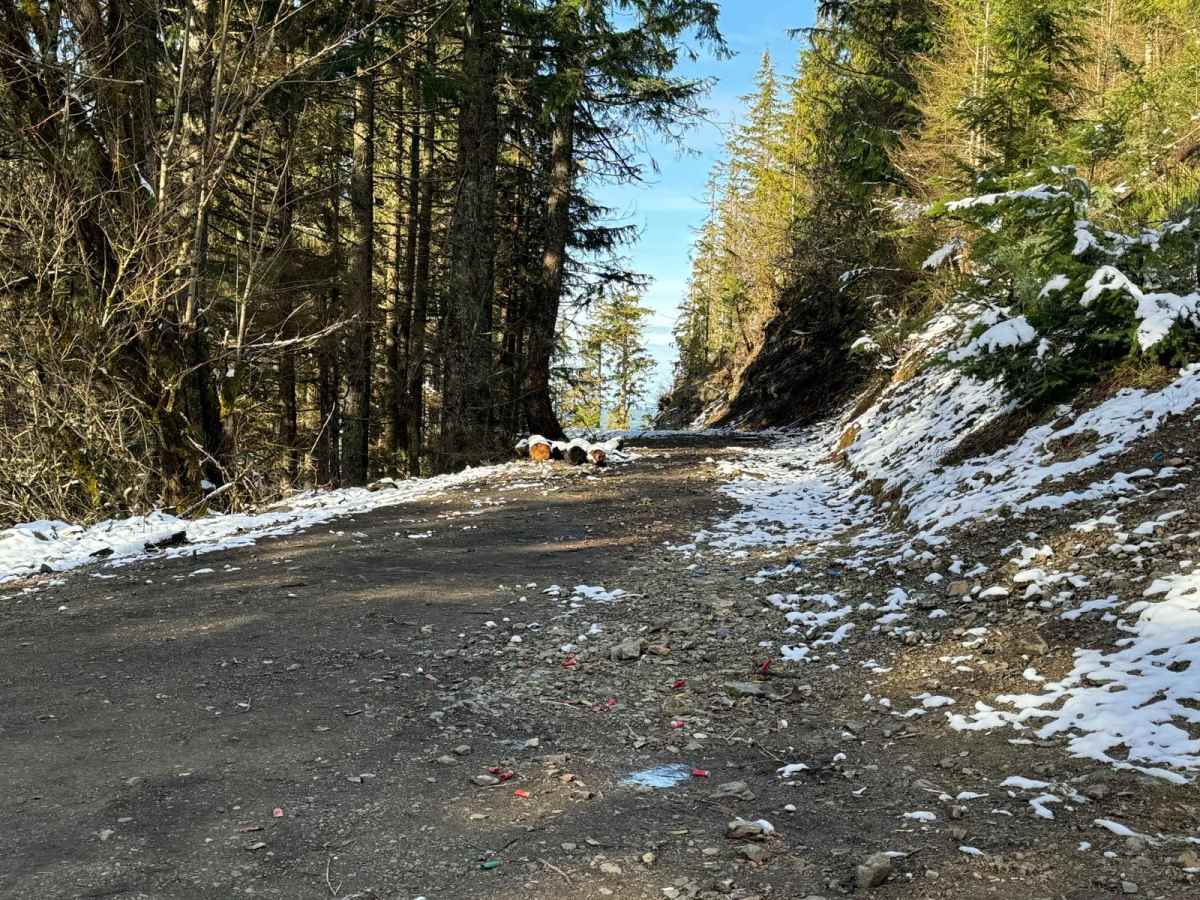 Green Mountain Road/NF-011 photo 4
