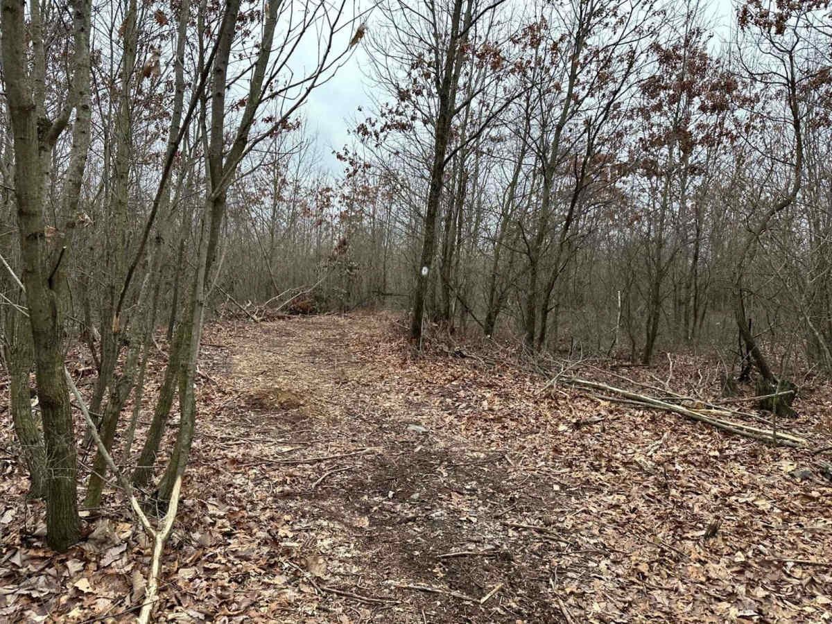 Darkwater 108 West photo 5