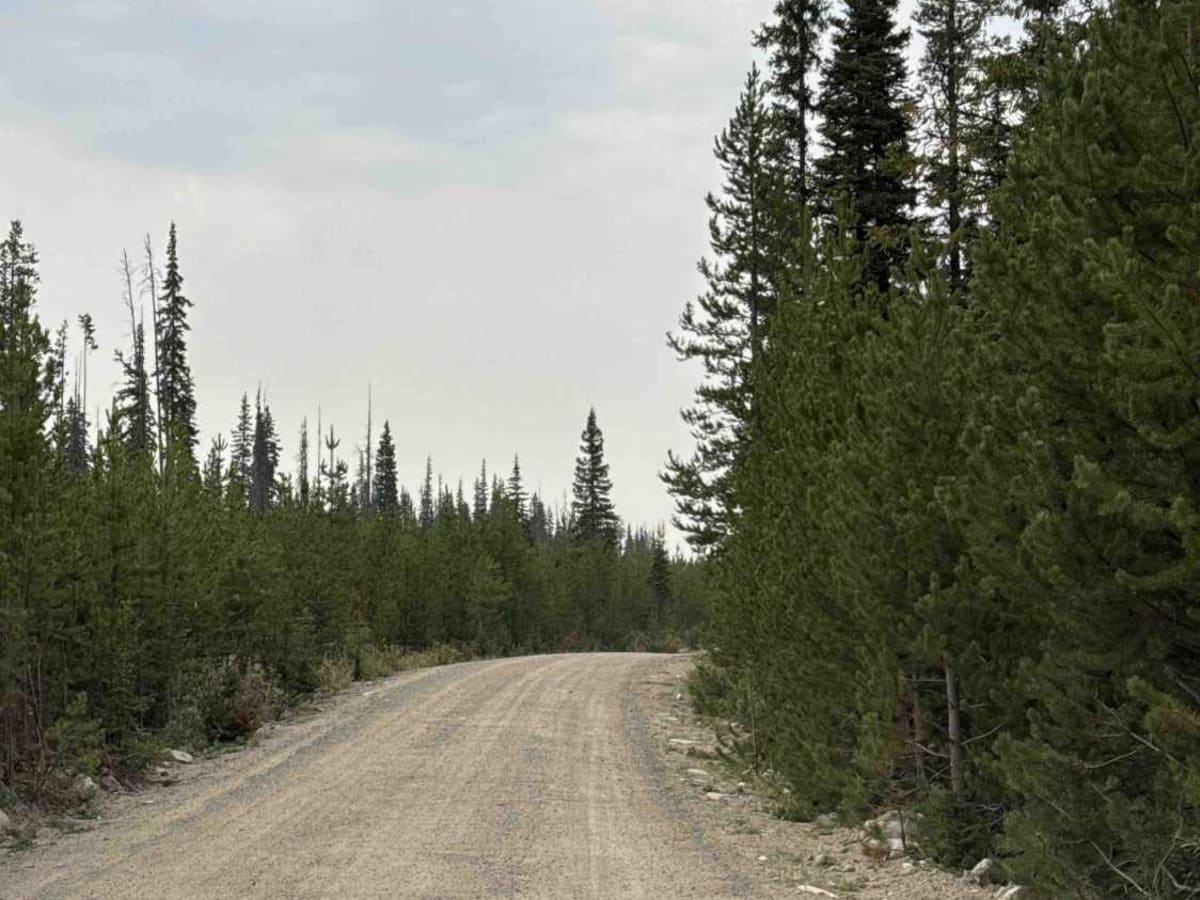 Hatheume Lake Forest Service Road photo 2