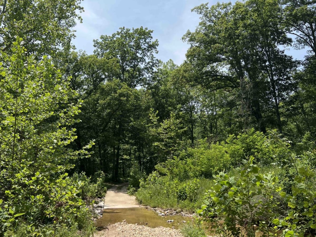 Current River Conservation Area photo 3