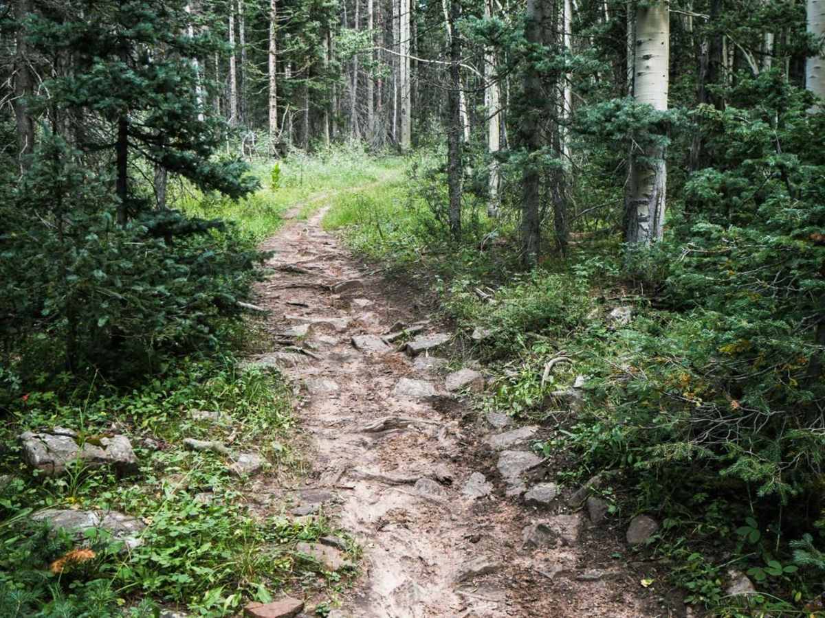 Morrison Trail (Part 1) photo 3