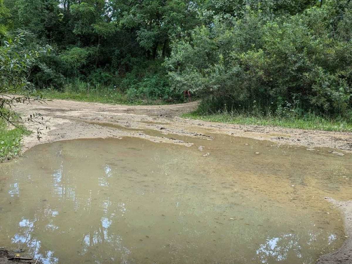 Deer Run photo 3