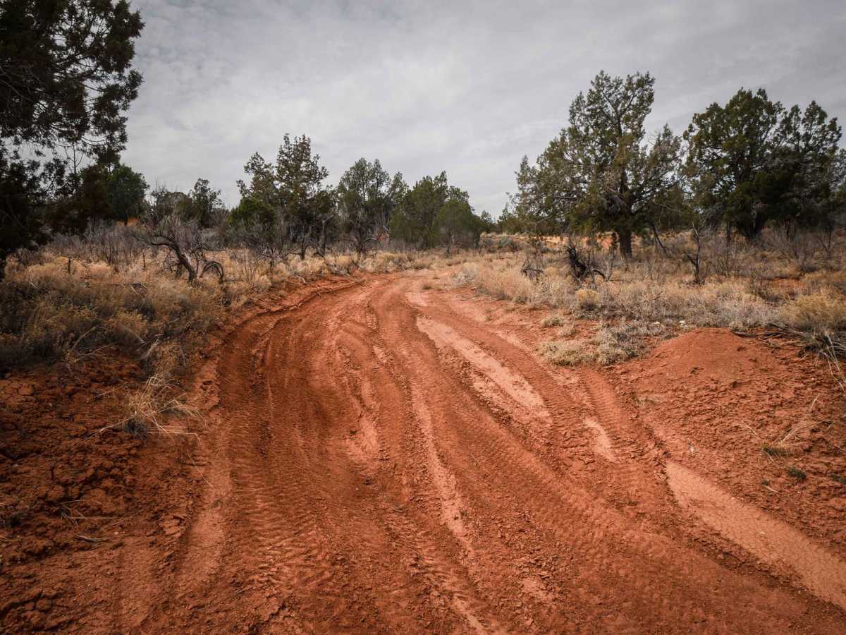 Whisker Spur photo 5