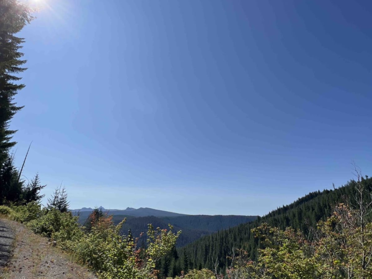 Bingham Ridge 2253 trail photo