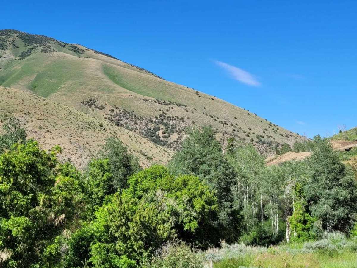 Hickman Canyon Road photo 5
