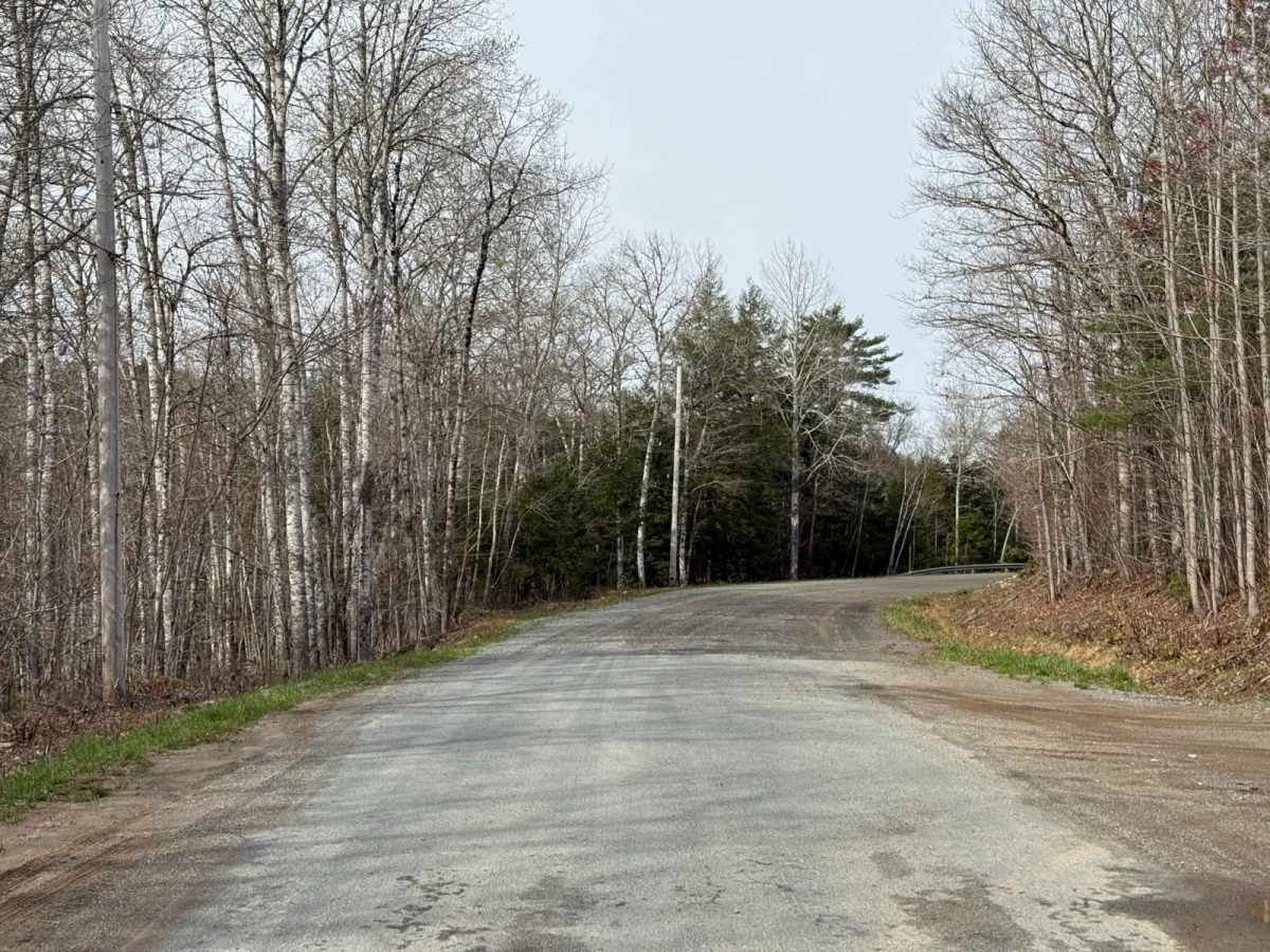Mines Road photo 2