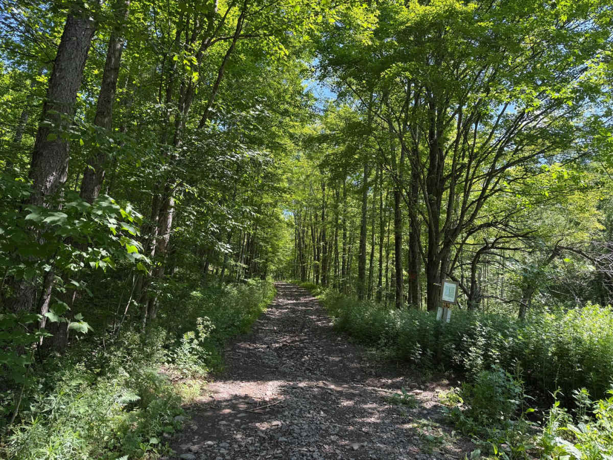Elevator Shaft Road trail photo