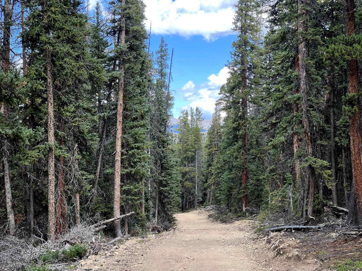 Summit Gulch (GH-74) photo 2