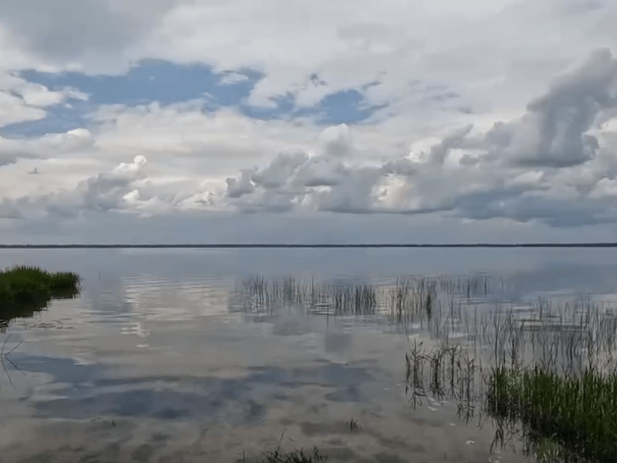 Pocosin Lakes National Wildlife Refuge trail photo