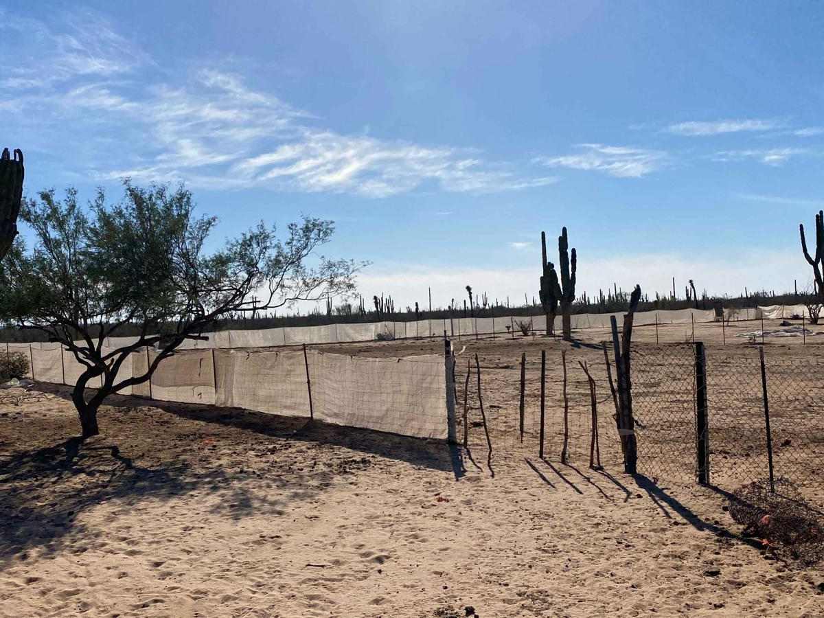 Vizcaino Cutoff photo 3