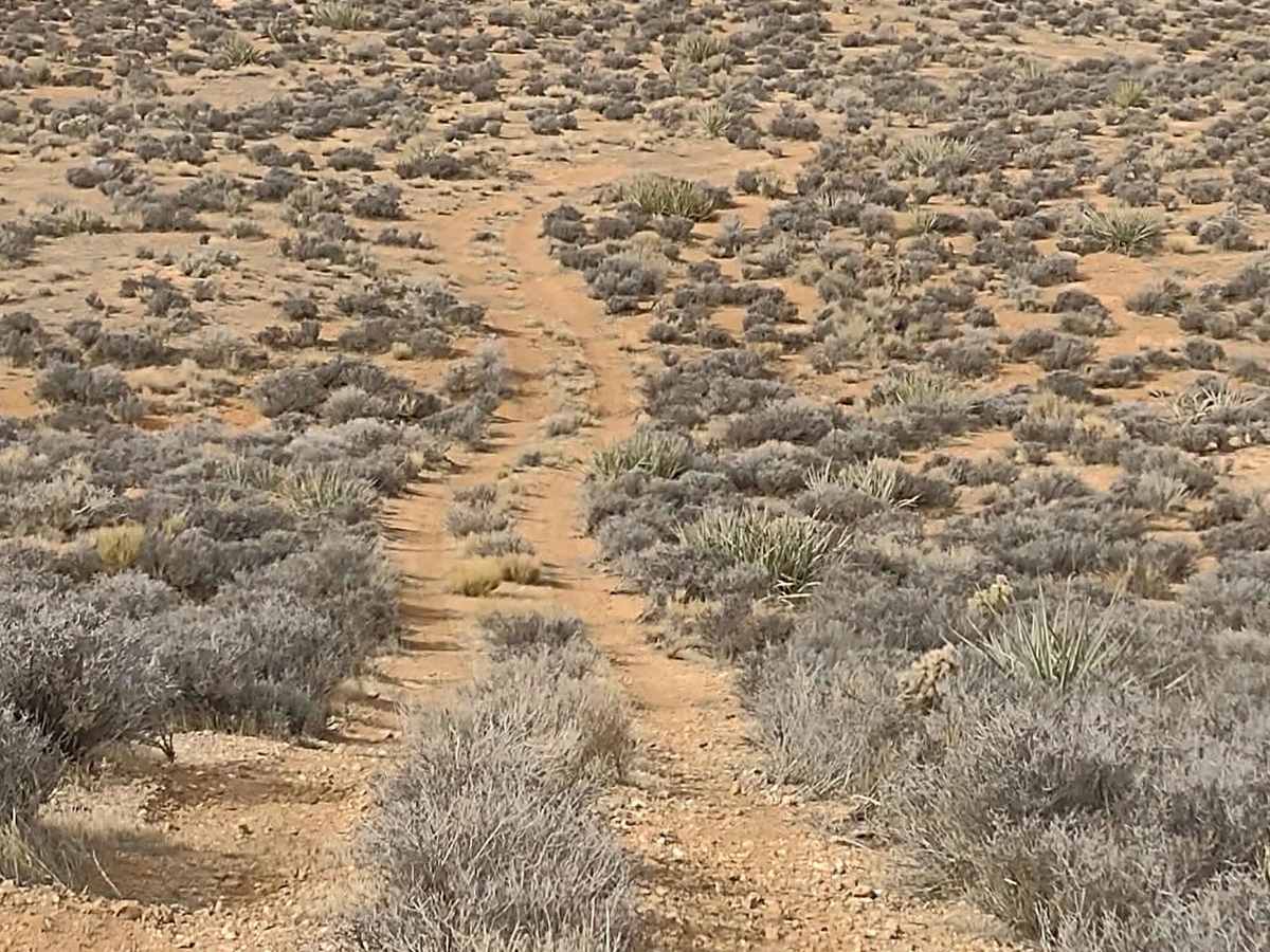 Yucca Way photo 5
